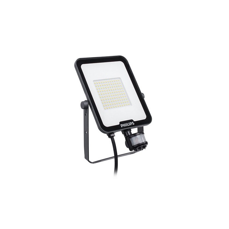 BVP164 LED 20W IP65 MDU Ledinaire floodlight G3