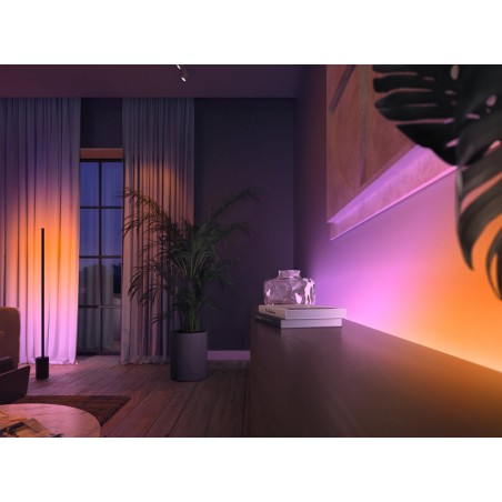Hue White and color Ambient Gradient led riba
