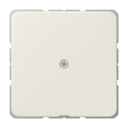 CD590A cable outlet ivory