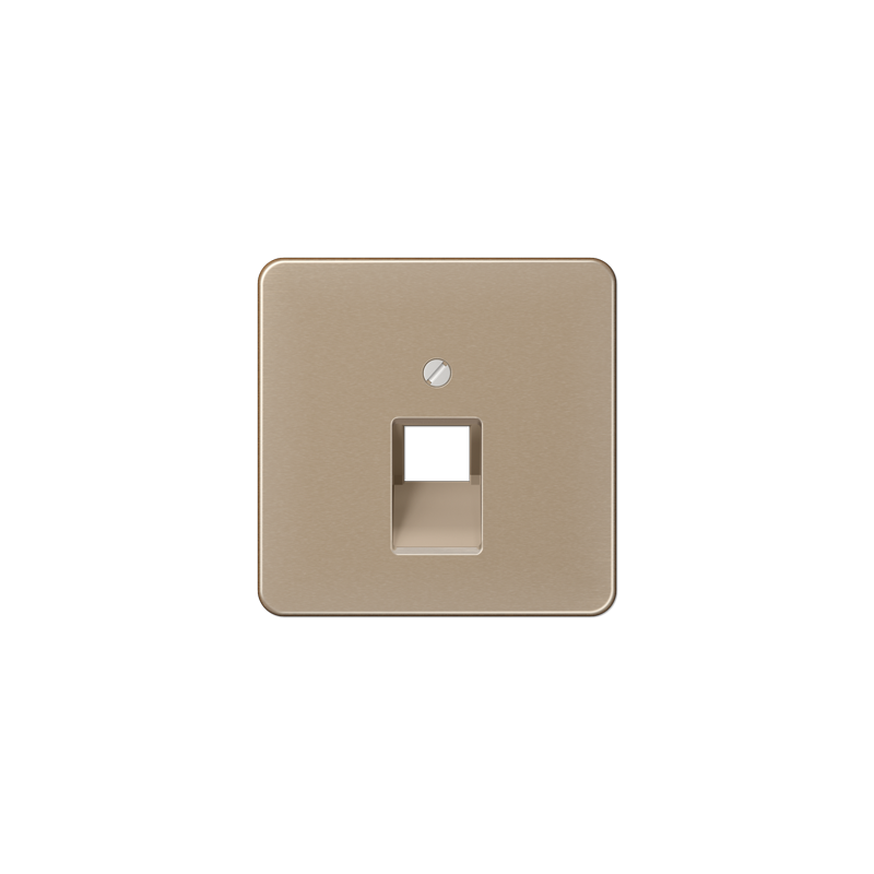 CD569-1UA Centre plate for modular jack sockets goldbronze