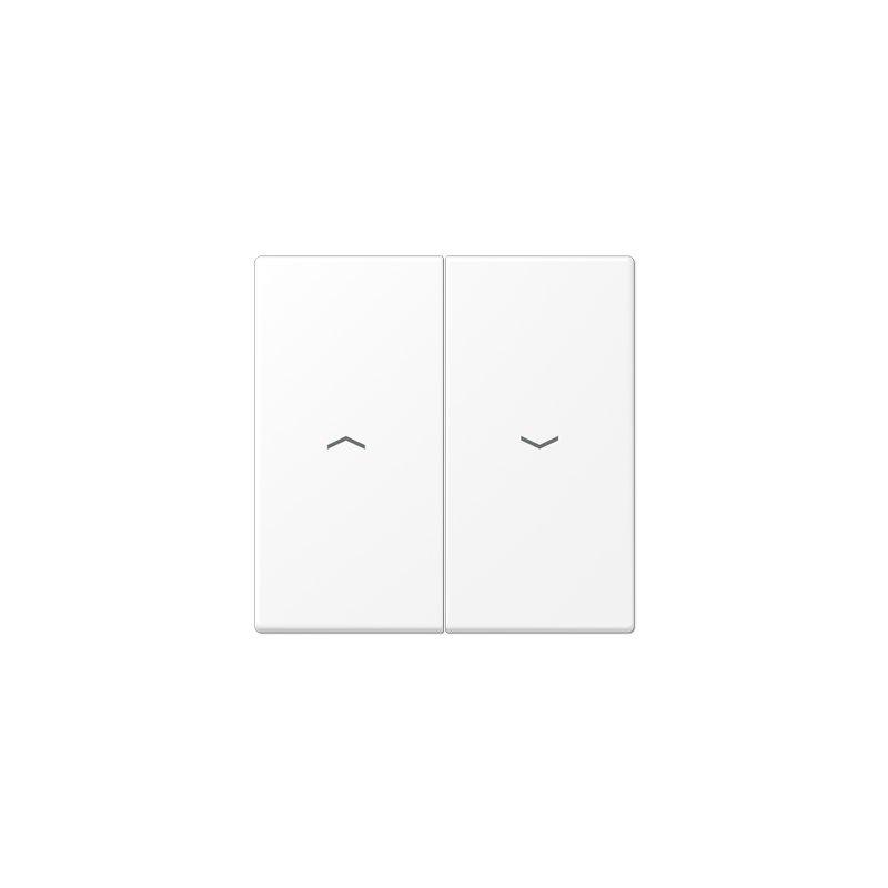 LS990 matt valge 2-ne lüliti kate