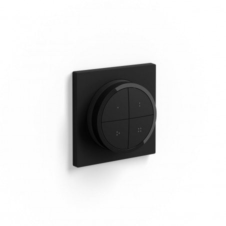 Hue Tap dial switch