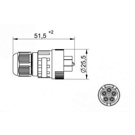 Ühendus 5P