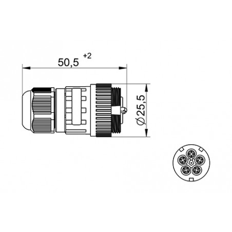 Ühendus 5P