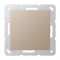 A594-0 blank centre plate champagne