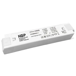 Driver 24V DC 30-120W CV120W24CG DALI