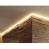 BRUNO led profiil karniisile BRUNO led profiil karniisile