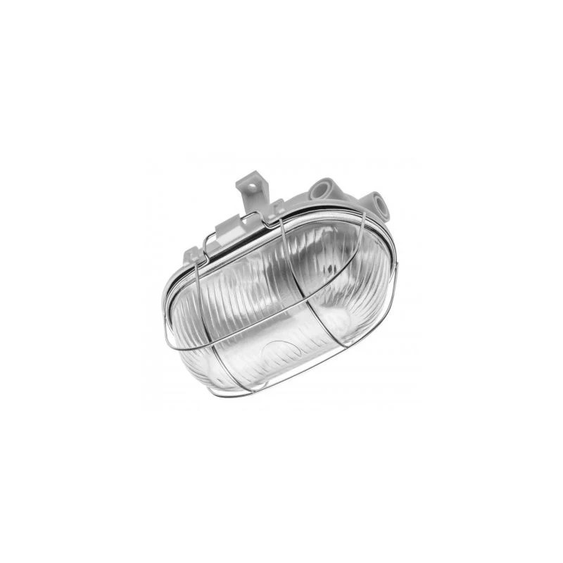SANGUESA metallvõrega valgusti E27 40W IP54