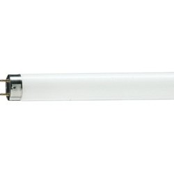 TL-D Super 80 T8 fluorescent tubes