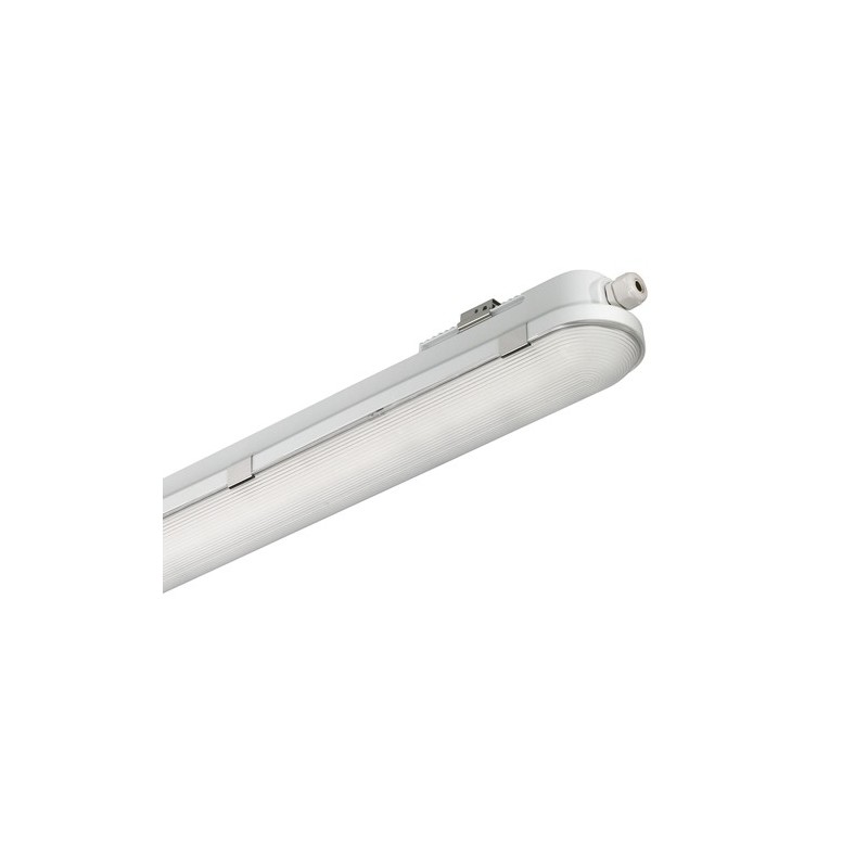 WT120C G2 LED IP65 4000lm 30W IP65 tööstusvalgusti