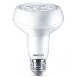 r80 light bulbs 100w