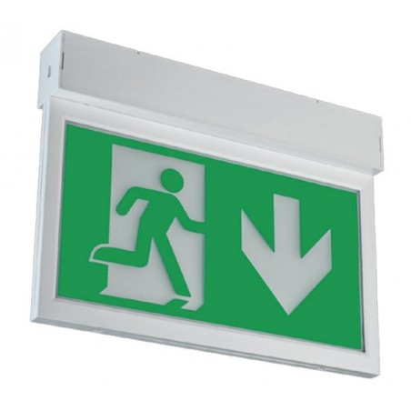 led exit box