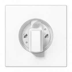 LS 1941 taimer-lüliti kate