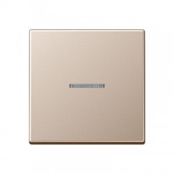 A500 šampanja 1-se lüliti katted