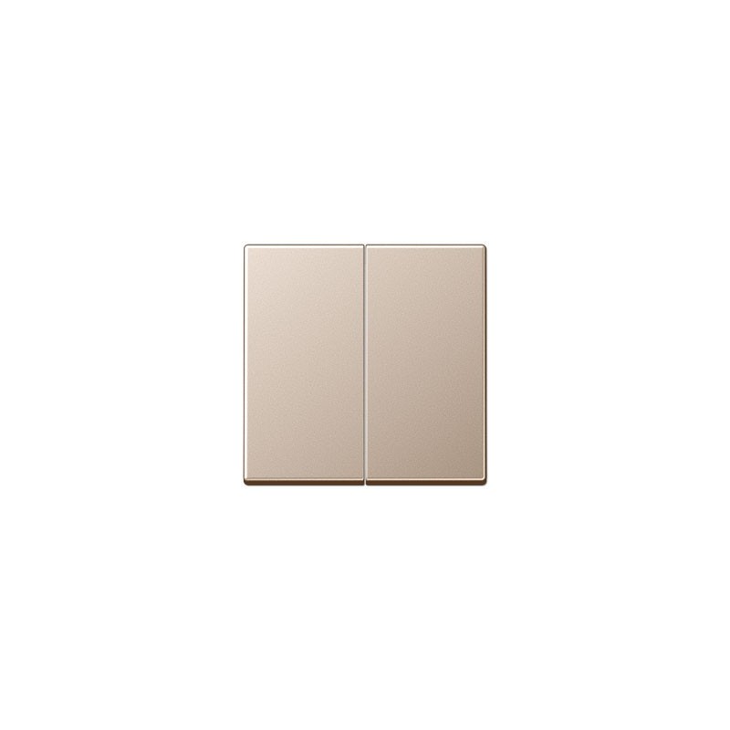 AS500 šampanja 2-se lüliti katted