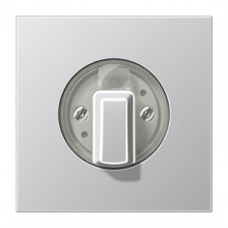 AL 1941 taimeri kate