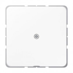 CD590A kaabli väljaviik harutoosist