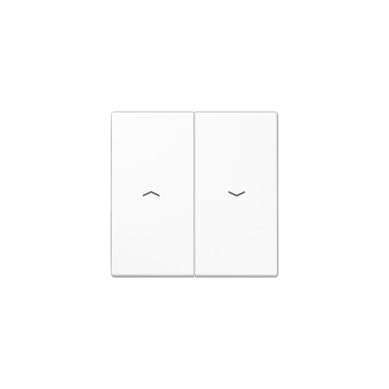 LS990 valge 2-se lüliti kate