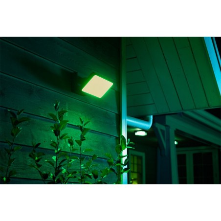 Discover Floodlight Philips HUE 15W 2300lm