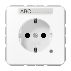 CD500 white outlet pilot light & inscription field