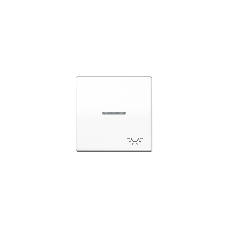 AS500 1-gang rocker with lens