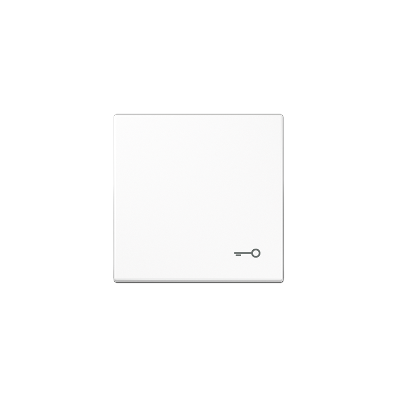 LS990 1-se lüliti kate valge