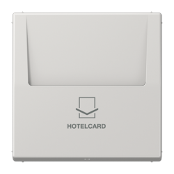 LS 590 CARD key card holder lightgray