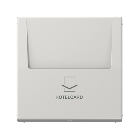 LS 590 CARD key card holder lightgray