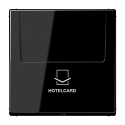 LS 590 CARD key card holder black