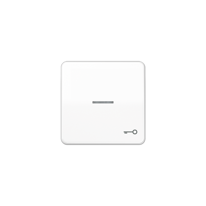 CD500 1-se lüliti kate valge