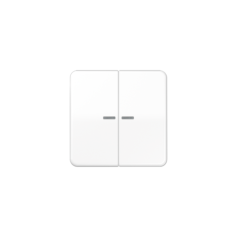 CD500 2-se lüliti kate valge