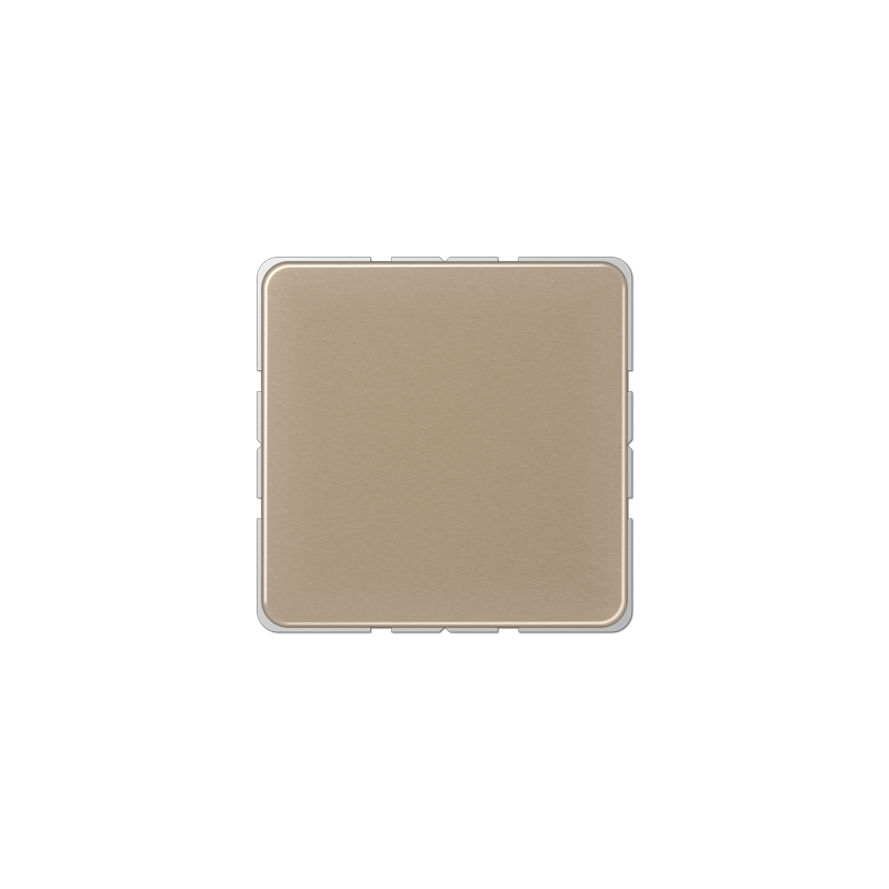 CD594-0 blank centre plate goldbronze