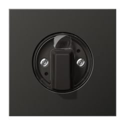 AL 1941 AN center plate for rotary switch/timer Anthracite