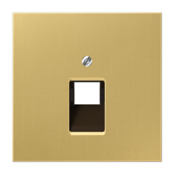 ME2969-1UA C Centre plate 1-gang modular jack sockets Classic brass