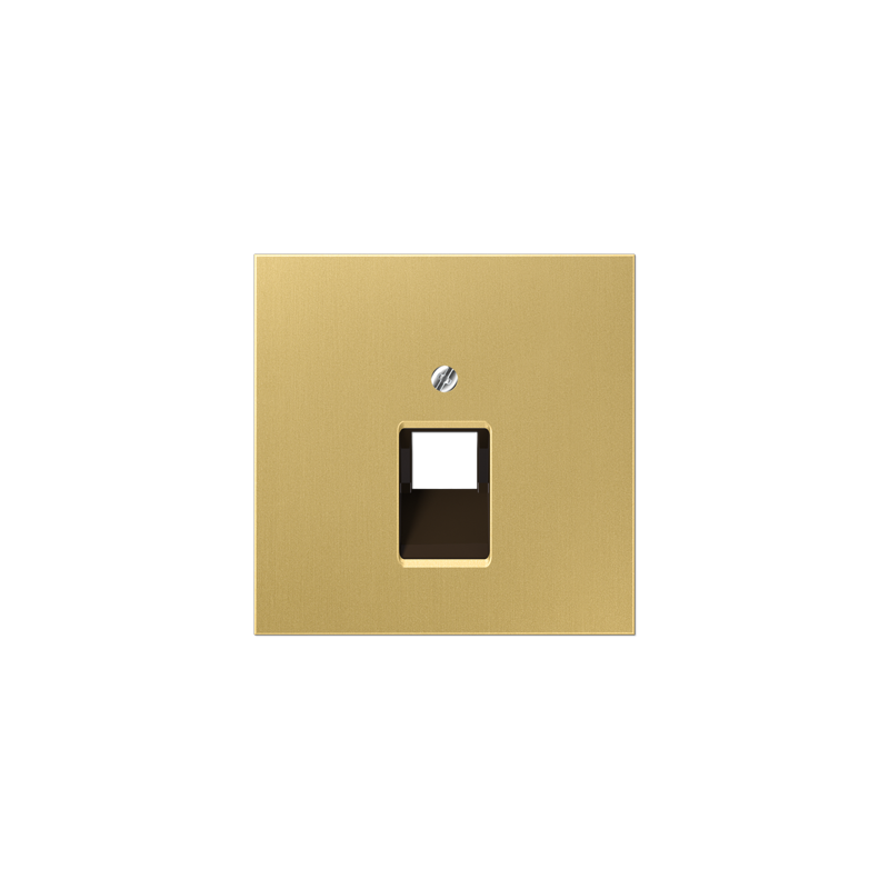 ME2969-1UA C Centre plate 1-gang modular jack sockets Classic brass