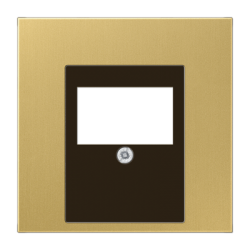 ME 2969T C USB / speaker centre plate Classic brass