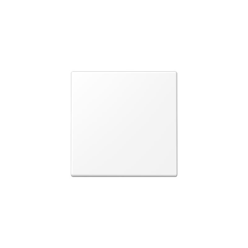 LS 1700 puutedimmeri kate matt valge